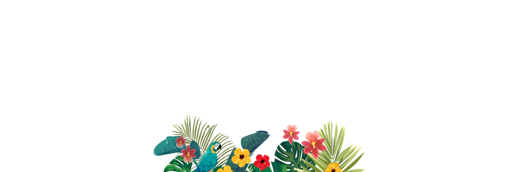 Olive Pet Products